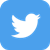 Twitter Social Icon